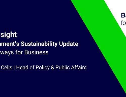 UK Government’s Sustainability Update: Key Takeaways for Business